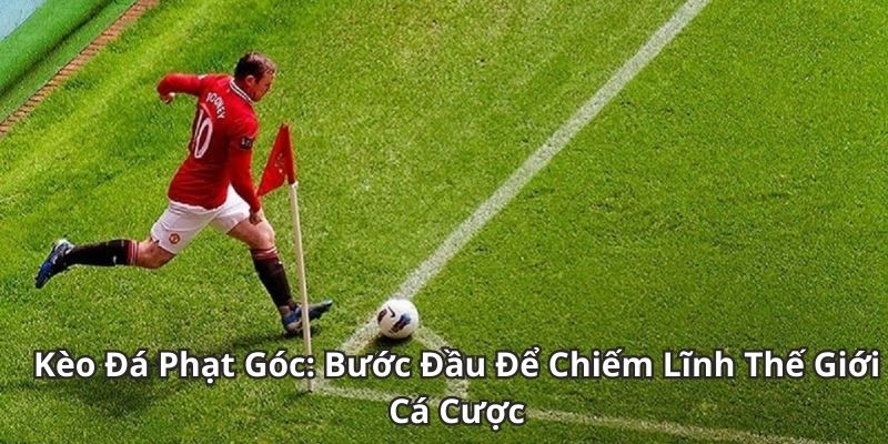 Tìm hiểu kèo phạt góc tại keobongda - Góc nhìn khác từ nhịp tấn công hai biên